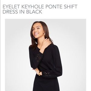 Ann Taylor Dress in brand new condition.